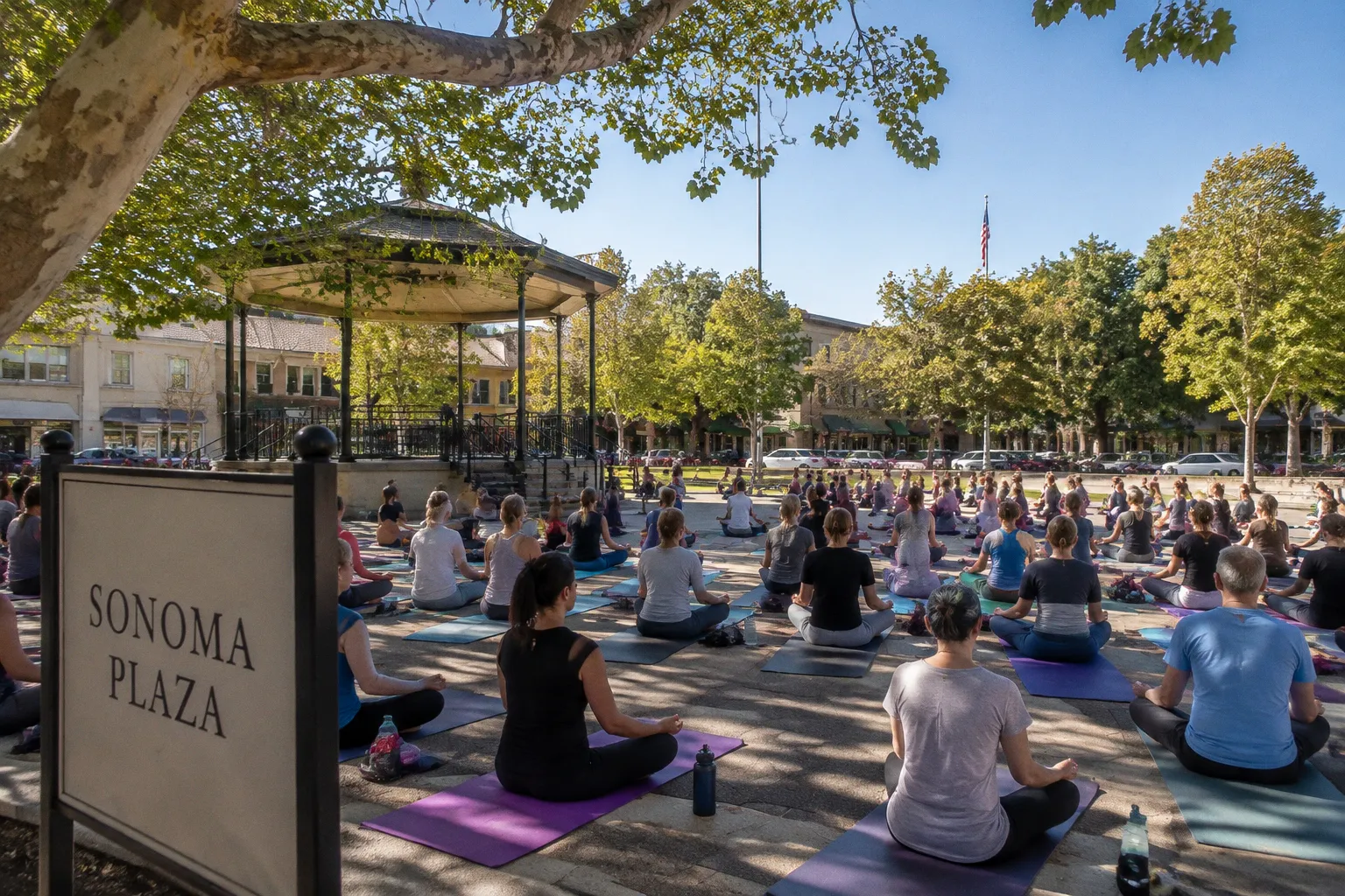 Célébrer la Journée internationale de la paix par le yoga et la méditation à Sonoma
